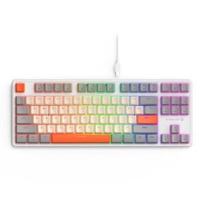 BASEKAMP EVO TKL 87 Mechanical Gaming Keyboard - Rainbow Lighting Effect - Linear Switches - Retro Style